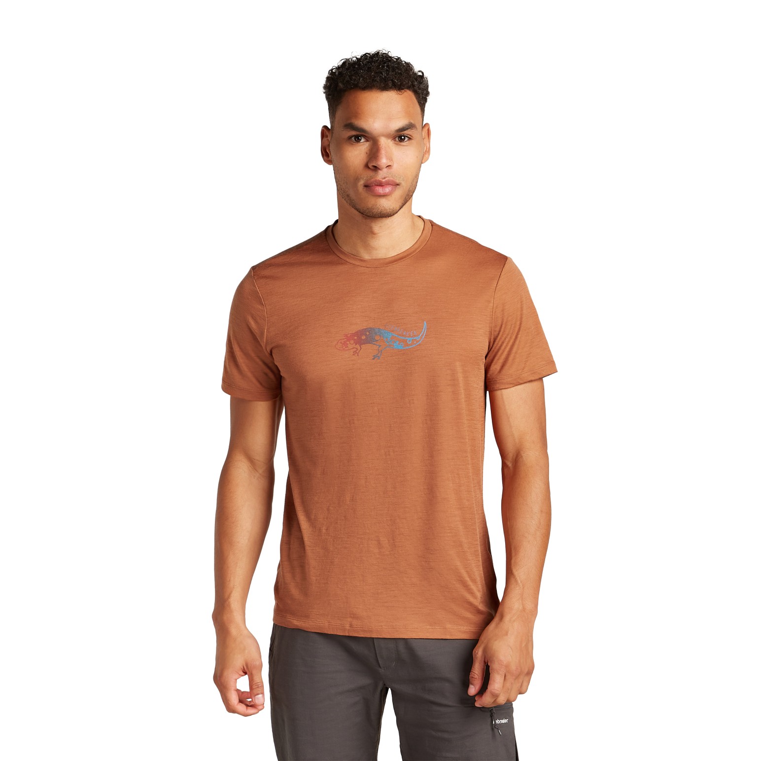 Icebreaker M Merino 150 Tech Lite SS Tee Slimey Salamander